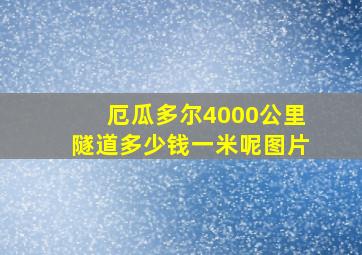 厄瓜多尔4000公里隧道多少钱一米呢图片