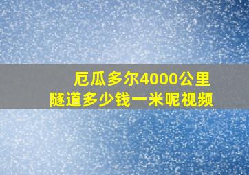 厄瓜多尔4000公里隧道多少钱一米呢视频