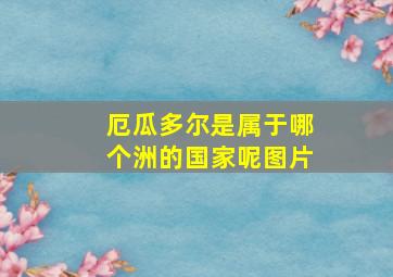 厄瓜多尔是属于哪个洲的国家呢图片