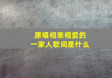 原唱相亲相爱的一家人歌词是什么