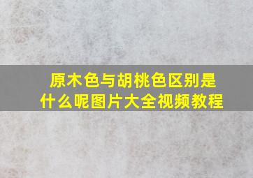 原木色与胡桃色区别是什么呢图片大全视频教程