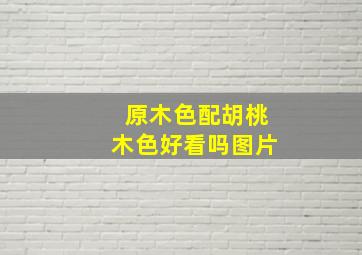 原木色配胡桃木色好看吗图片