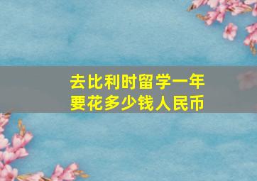 去比利时留学一年要花多少钱人民币