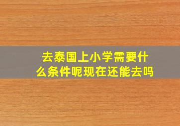 去泰国上小学需要什么条件呢现在还能去吗