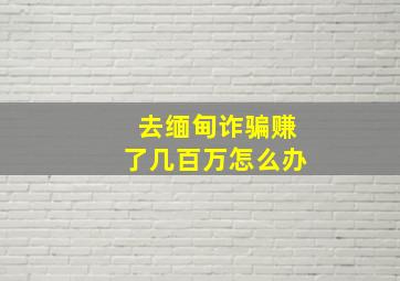 去缅甸诈骗赚了几百万怎么办