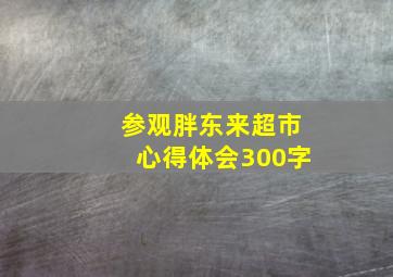 参观胖东来超市心得体会300字