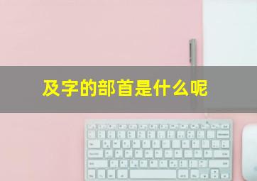 及字的部首是什么呢