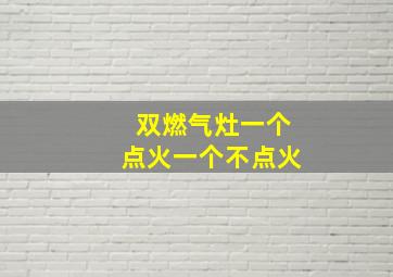 双燃气灶一个点火一个不点火