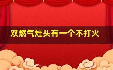 双燃气灶头有一个不打火