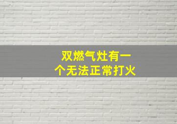 双燃气灶有一个无法正常打火