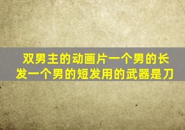 双男主的动画片一个男的长发一个男的短发用的武器是刀