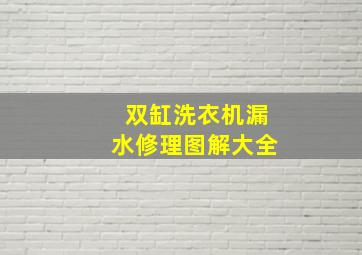 双缸洗衣机漏水修理图解大全