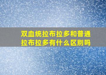 双血统拉布拉多和普通拉布拉多有什么区别吗