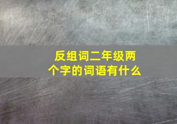 反组词二年级两个字的词语有什么