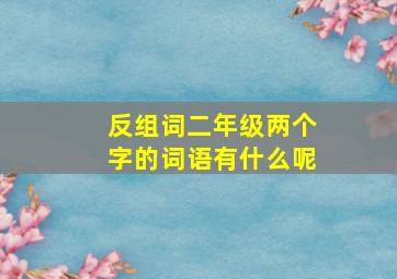 反组词二年级两个字的词语有什么呢