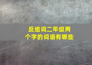 反组词二年级两个字的词语有哪些