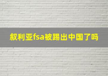 叙利亚fsa被踢出中国了吗