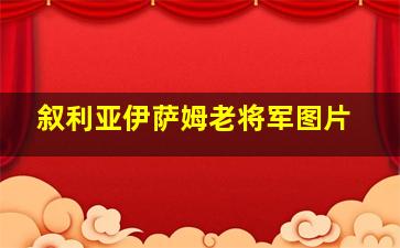 叙利亚伊萨姆老将军图片