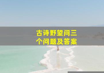 古诗野望问三个问题及答案