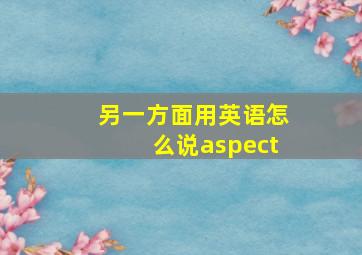 另一方面用英语怎么说aspect