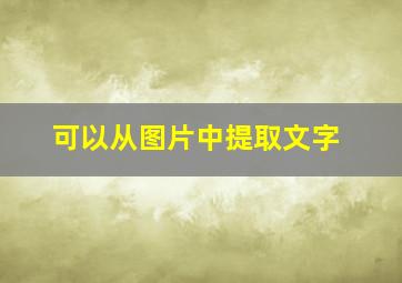 可以从图片中提取文字