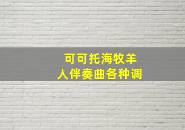 可可托海牧羊人伴奏曲各种调