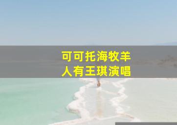 可可托海牧羊人有王琪演唱