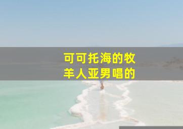 可可托海的牧羊人亚男唱的