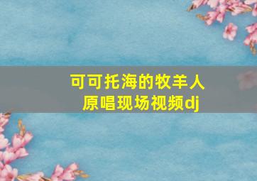 可可托海的牧羊人原唱现场视频dj