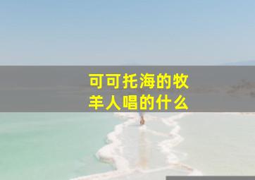 可可托海的牧羊人唱的什么