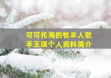 可可托海的牧羊人歌手王琪个人资料简介