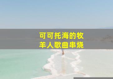 可可托海的牧羊人歌曲串烧