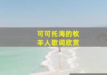 可可托海的牧羊人歌词欣赏