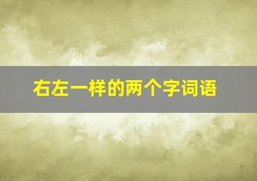 右左一样的两个字词语