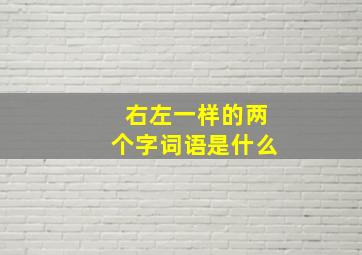 右左一样的两个字词语是什么