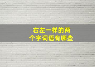 右左一样的两个字词语有哪些