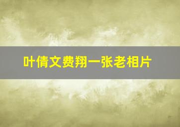 叶倩文费翔一张老相片