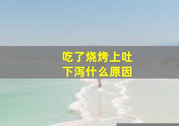 吃了烧烤上吐下泻什么原因