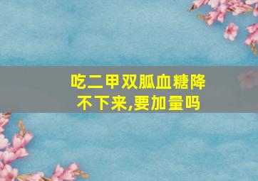 吃二甲双胍血糖降不下来,要加量吗