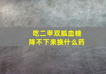 吃二甲双胍血糖降不下来换什么药