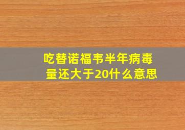 吃替诺福韦半年病毒量还大于20什么意思