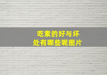 吃素的好与坏处有哪些呢图片