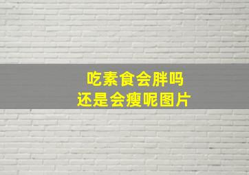 吃素食会胖吗还是会瘦呢图片