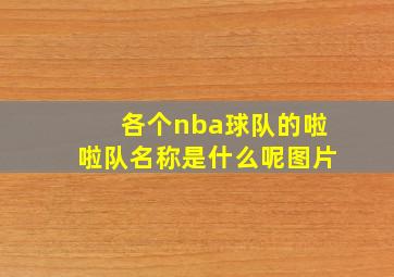 各个nba球队的啦啦队名称是什么呢图片