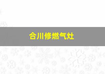 合川修燃气灶