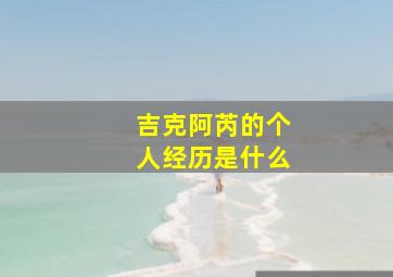 吉克阿芮的个人经历是什么