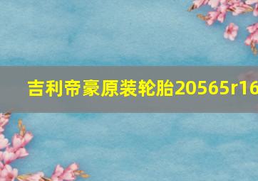 吉利帝豪原装轮胎20565r16