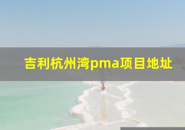 吉利杭州湾pma项目地址