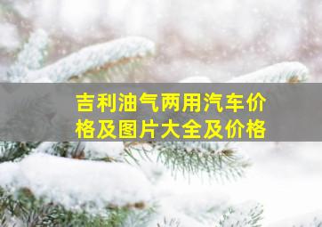 吉利油气两用汽车价格及图片大全及价格