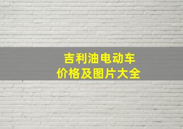 吉利油电动车价格及图片大全